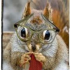 Kay-Anne Frasier Toppel