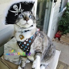 Captain Namtabular