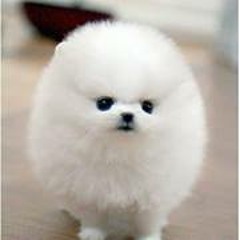 洋楽リミックス