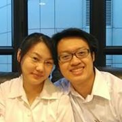 Robin WarMachine Lion