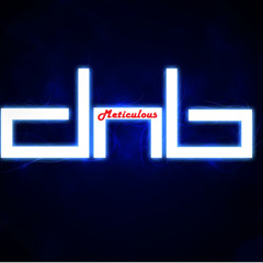 Meticulous DNB