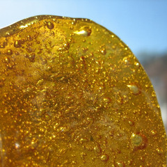 Butane Hash Ohmz! (BHO)