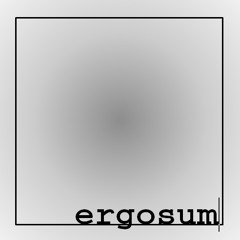 ergosumBE