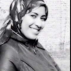 Nour M. Dorgham