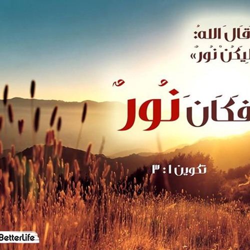 دايما معايا