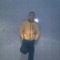 albertogego