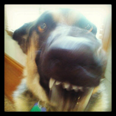 The Light (Final Composition)