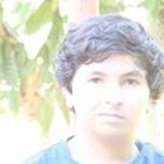 Walid El Jerari