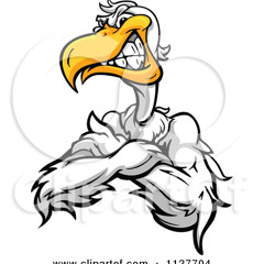 Raging Seagull