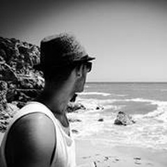 Marcelo Alexandre Martins