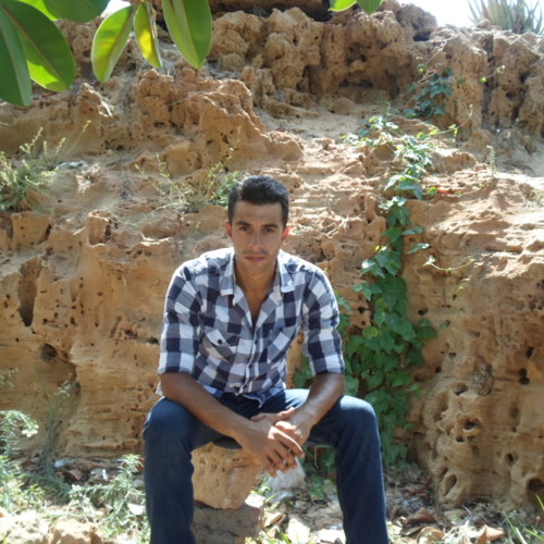 Amr Farahat 3’s avatar