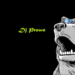 Dj Prawn