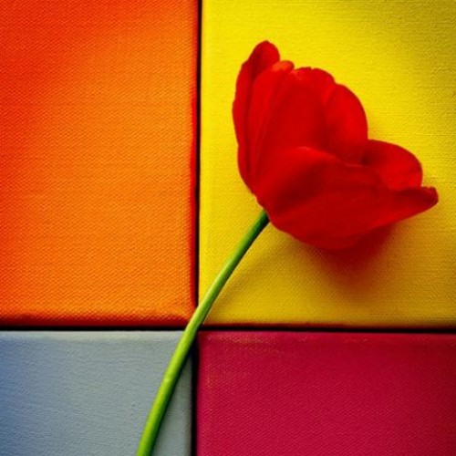 CTV مين احن منك