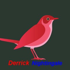 Derrick Nightingale
