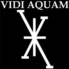 Vidi Aquam