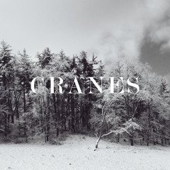 cranes
