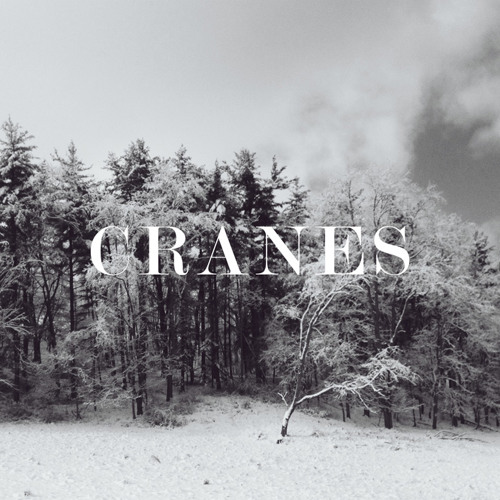 SoundCloud profile picture for @cranes