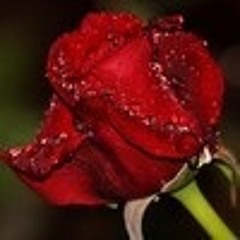 سوريا بلد الأحرار   فرقة غرباء لبنان.mp3