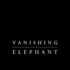 VanishingElephant