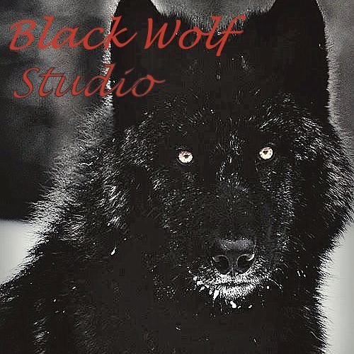 Grey Wolf Studio’s avatar