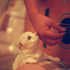 Jerry Music Store