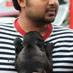 Abhinav Polinati