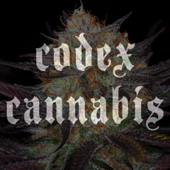 CodexCannabis