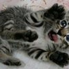 Hobbyastronomin Manuela