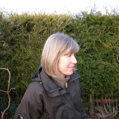 Julie Mellor poet