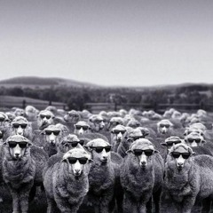 MerKoMuziK