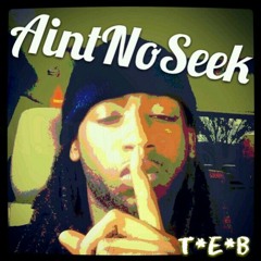 AintNoSeek
