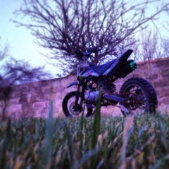 matty335