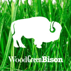 Wood Green Bison