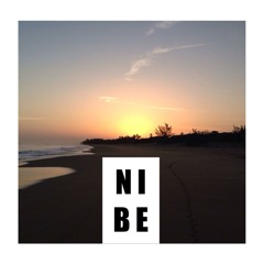 N I B E