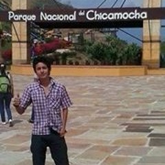 Darwin David Santander