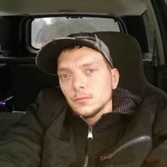 mla_dingo