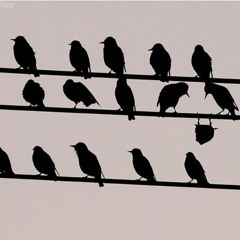 das süße Nichtstun