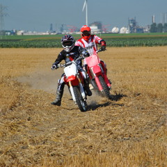 Tim Schlink