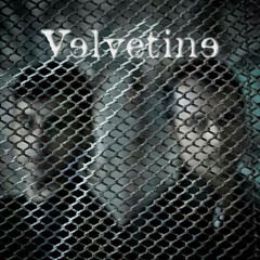 Velvetine-music