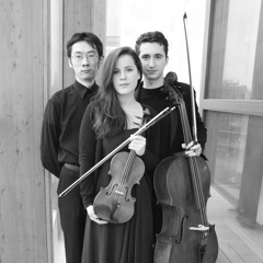 amatis piano trio