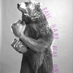 Bare Hand Bear Hunt