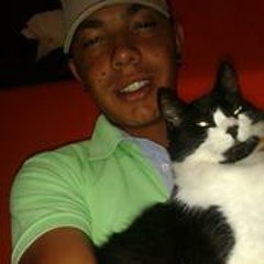 Julio Cesar Abreu Junior