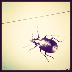 dustbug
