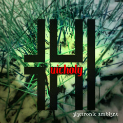 Huicholy