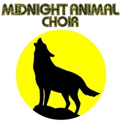 Midnight Animal Choir