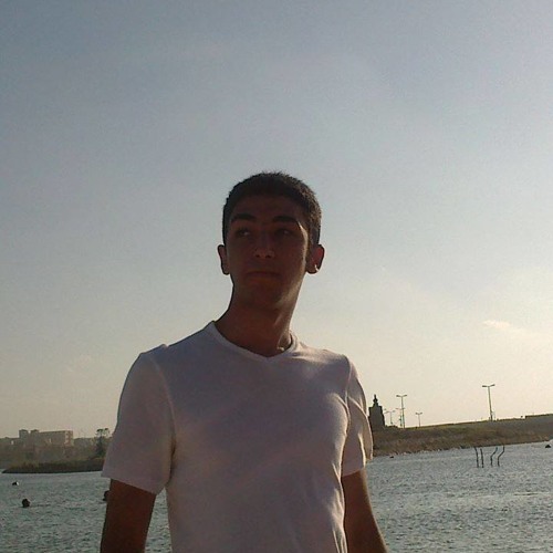 Walid Ibrahim’s avatar