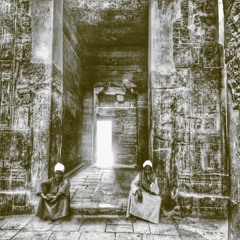 Shahd Tarek 1