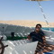 Mohamed ELbaz