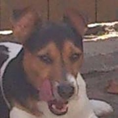 Stephanie Cowardly Baker