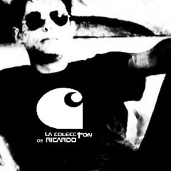 LA COLECCIÓN DE RICARDO